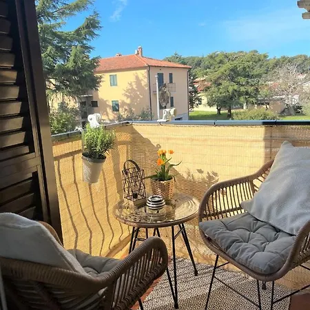 Apartment Summer Escape With Free Street Parking